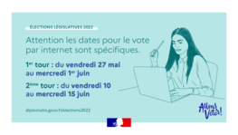 Vote par internet pour le second tour des élections législatives